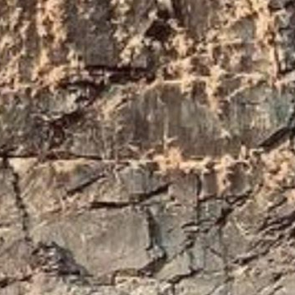 Meet your Posher, Deepti - Picture 1 of 1